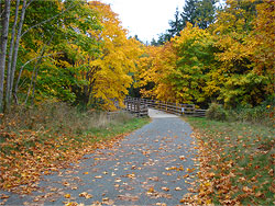 Colwood A leaf-strewn path in Colwood during autumn, leading to a bridge