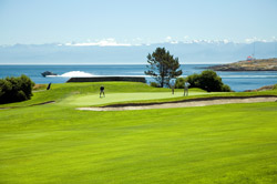 Oak Bay Marina golf course